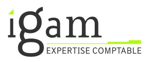 Igam expertise comptable